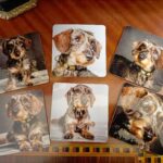 Pack 4 Posavasos Personalizados Especial Mascotas