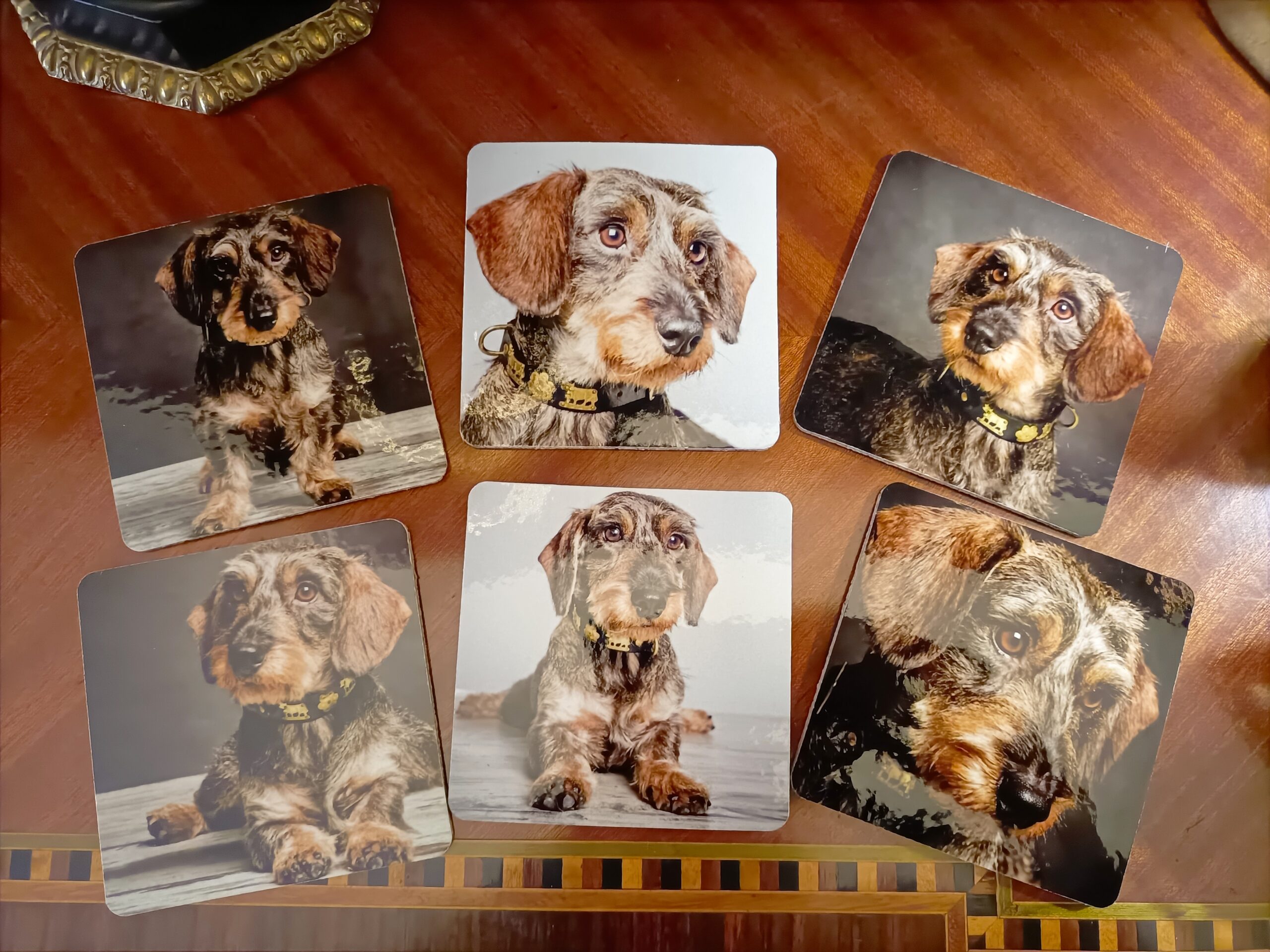 Pack 4 Posavasos Personalizados Especial Mascotas