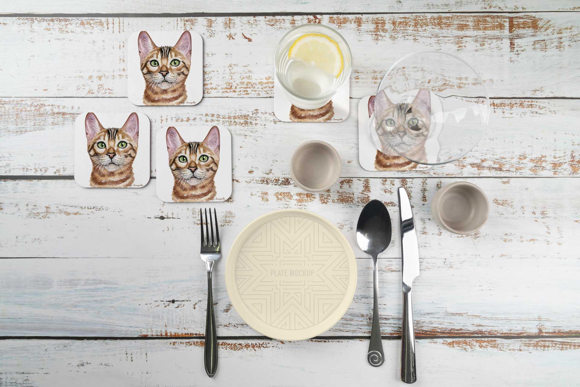 Pack 4 Posavasos Personalizados Especial Mascotas-gatos