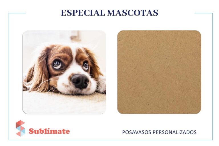 Pack 4 Posavasos Personalizados Especial Mascotas