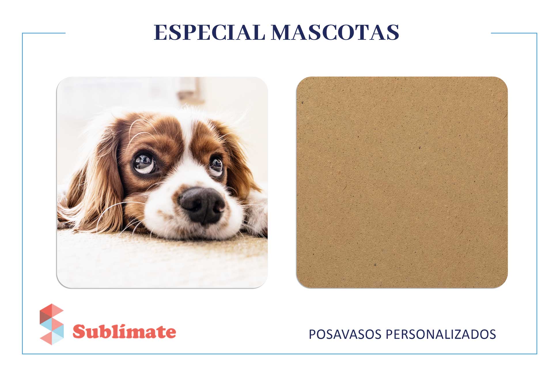Pack 4 Posavasos Personalizados Especial Mascotas