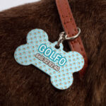 Chapas personalizadas identificativas para perros GOLFO