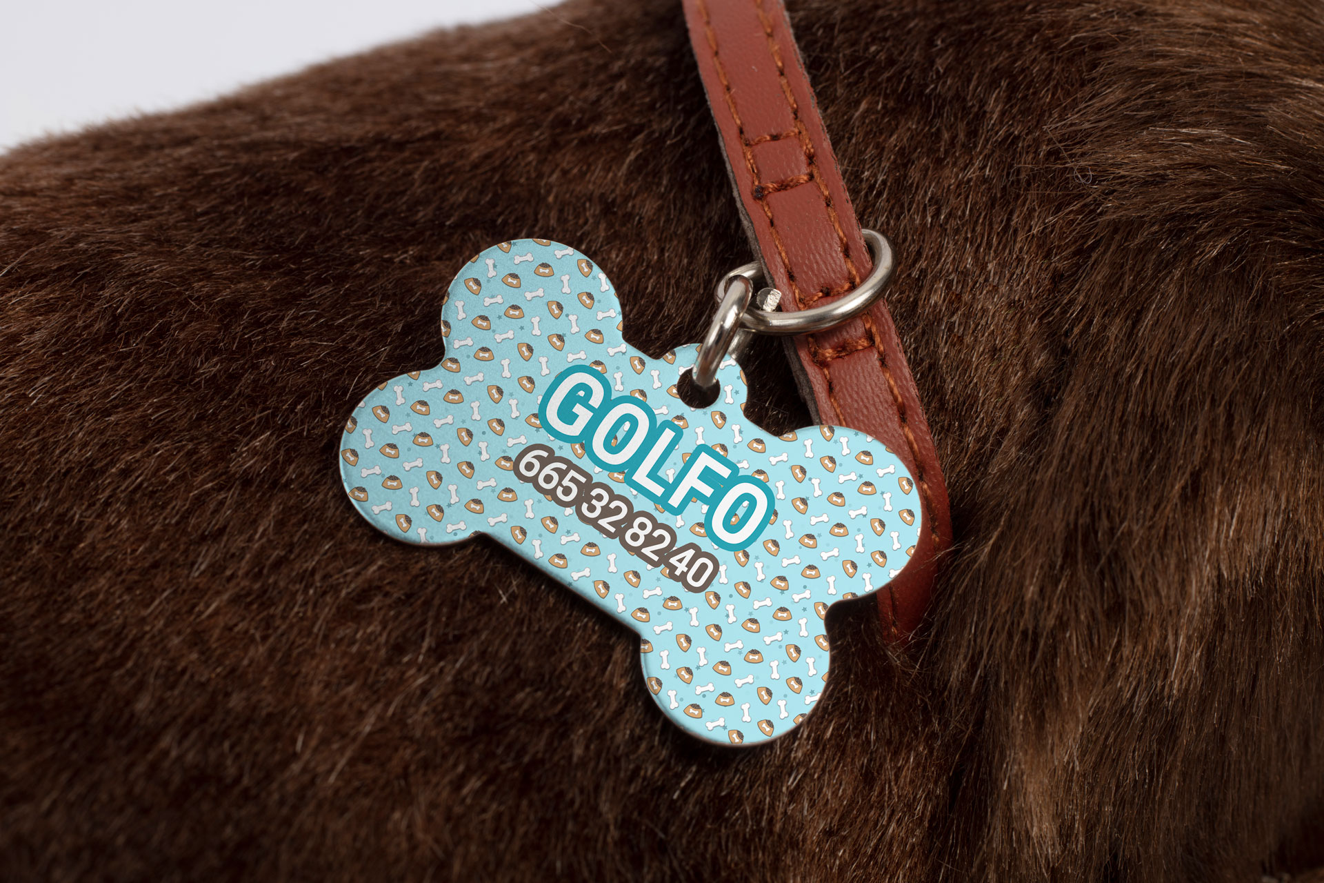 Chapas personalizadas identificativas para perros GOLFO