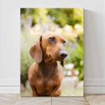 Lienzos-Personalizados_perros-2