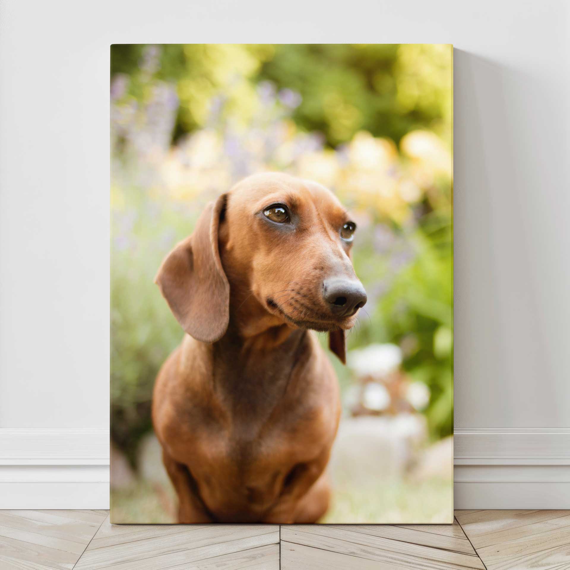 Lienzos-Personalizados_perros-2