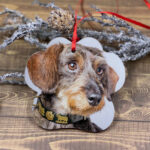 adorno de Navidad de acrílico con forma de huella_Grillo 2
