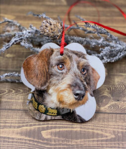 adorno de Navidad de acrílico con forma de huella_Grillo 2